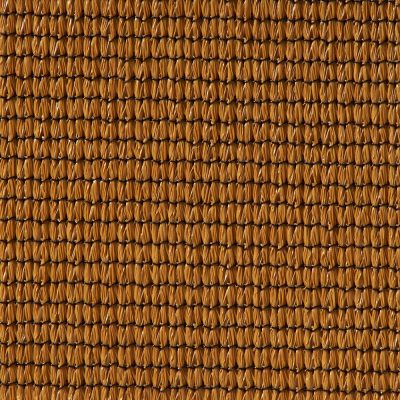 Cedar
